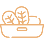 Nutricionista
